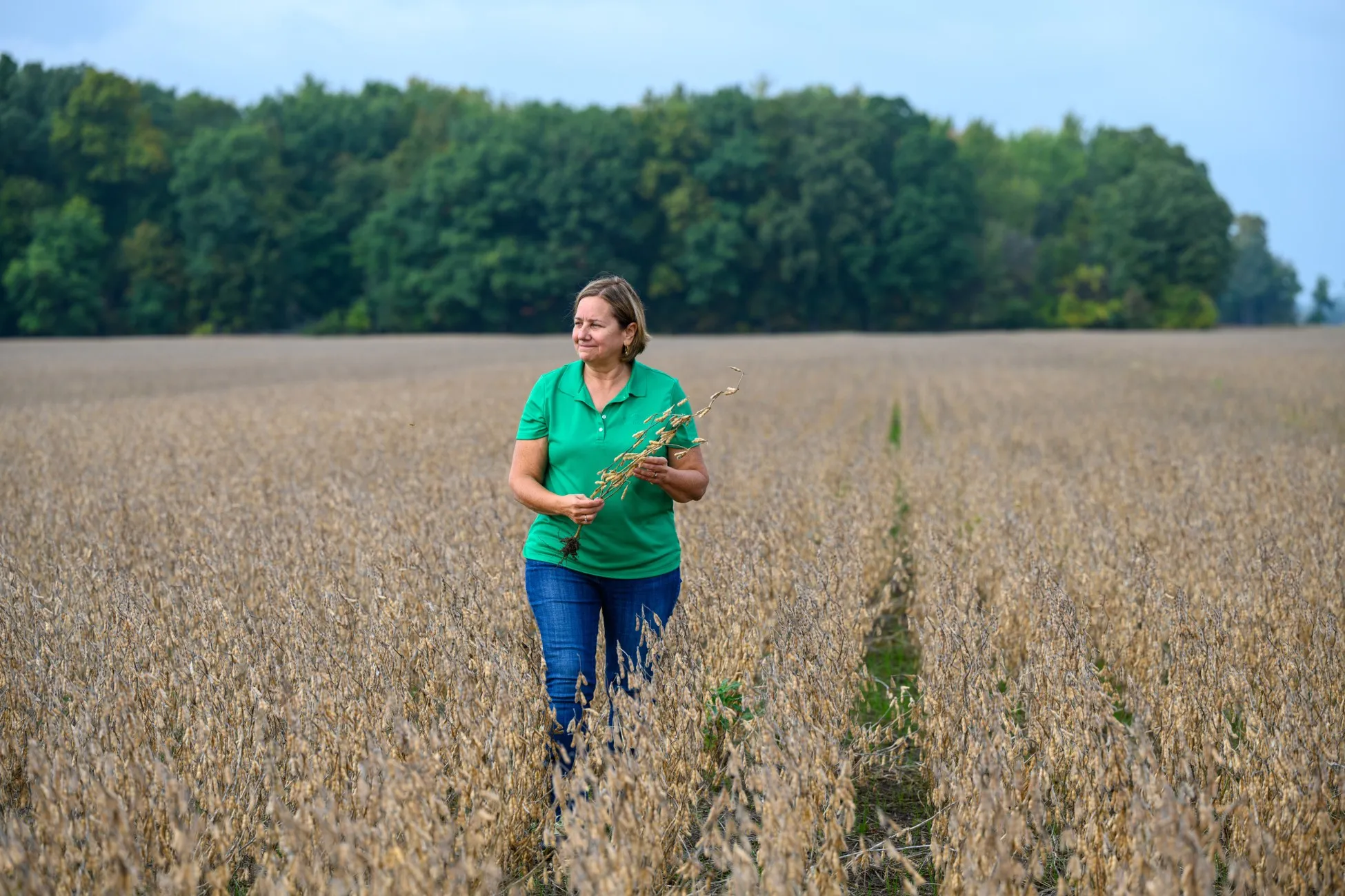 USB farmer leader Laurie Isley walks through her soybean field.